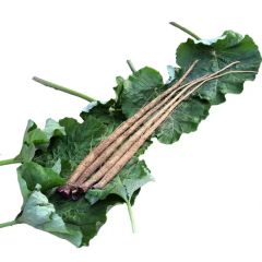 Natural Herbs Health Tea Bardana Dried Burdock Root Tea - Image 6