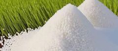 Urea Nitrogen Grade 46 Packaging Bags Primary Nutrient Nitrogen Supply Model Bulk Production And Global Supply Performance Focus Quality, Consistency, And Farmer Trust - Image 5