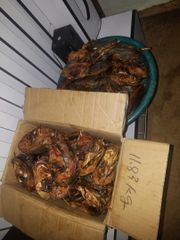 Dried Catfish Origin Nigeria Package Weight 500 Grm, 500grm Quality Grade USDA Choice, Usda Choice - Image 3