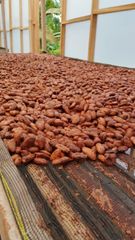 100% Cocoa Powder – product photo 1, product detail gallery