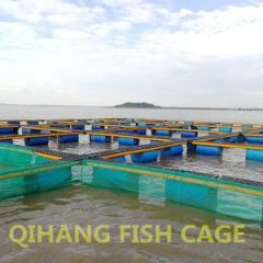 Carp Fish Farming, Catfish Farming Equipment for Sale - Image 2