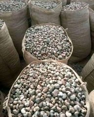 Raw Cashew Nuts - Image 5