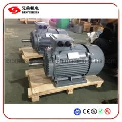 Motor with High Effiency Three Phase Asynchronous Squirrel Cage Cast Iron Induction Electric Motor - Fuding Brothers Power Co., Ltd.