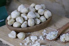 Candlenut - Image 2