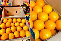 Fresh Oranges – product photo 4, product detail gallery