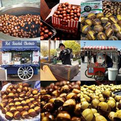 Fresh chestnut - Image 3