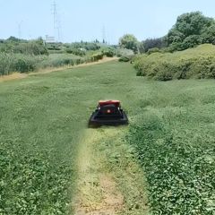 2026 New Radio-Controlled Lawn Mower RC Slope Lawn Mower Tracking All-Terrain Remote Control Robot Weed Mower - Image 4