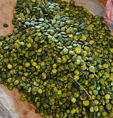 griffonia seeds: used for their 5-HTP content in nutraceutical / pharmaceutical industry - Image 5