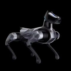 WiFi GPS Intelligent Large Model Stainless Steel Bionic Dog Programmable Quadruped Robot Sports Entertainment Industrial - Image 6