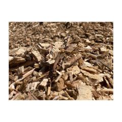 Low price woodchip bulk supply premium quality export wholesale fast delivery - Image 1