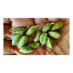 fresh organic green elaichi cardamom pods for chai tea baking sweets desserts cooking and herbal wellness drinks with natural flavor and strong aroma high quality green elaichi cardamom pods for tea baking desserts sweets cooking and export use with premium aroma and consistent freshness - Image 2