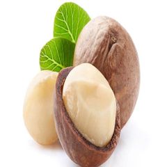 Export Macadamia Nuts Premium Grade Whole Kernels Clean Fresh High Nutrition Suitable For International Buyers Chocolate And Bakery Industry Buy Now Fast Delivery Premium Quality Wholesale – product photo 3, product detail gallery