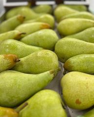 Fresh Forelle, Packhams, Rosemary pears for sale - Image 5