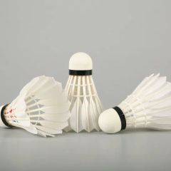Factory OEM As50 Badminton Shuttlecock - Image 4