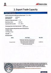 Audit report certificate from Anping County Nuoxi Wire Mesh Products Co., Ltd.