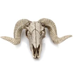 Antique Goat Head Skull Wall Hanging Sheep Head Skeleton Resin Crafts - Image 6