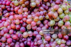 Fresh Egyptian Grapes - Image 1