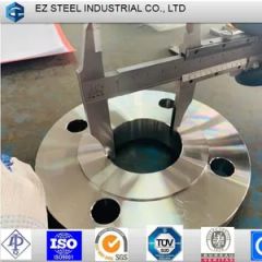 ASTM A182 F316L F53 F57 Sorf Wn Flange Brida De Acero Inoxidable - EZ Steel Industrial Co., Ltd.