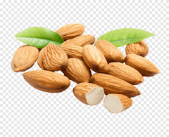 Wholesale Price Original Flavor Pure Natural Roasted Almonds Kernel Dried Fruit Product Dried Nuts fresh nuts - Image 3