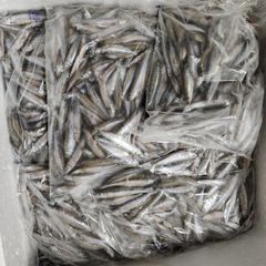 Premium frozen anchovies fresh sea fish whole fish long shelf life quick frozen suitable for export and retail supply - Image 2