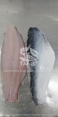 Premium Frozen Pangasius Steak for Seafood Markets - Image 4