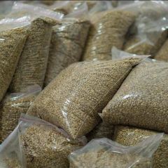 Arabica coffee - Image 1