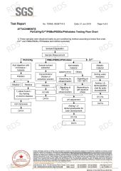 ROHS4 certificate from Beijing Red Sun Technology Co.,Ltd.
