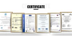 Certificate certificate of Qingdao Bueno Import & Export Co., Ltd. – certificate photo, supplier certificates section