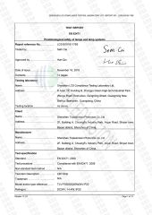 EN62471 Biological Safety 5050 Strip certificate of Shenzhen Topledvision Lighting Co., Ltd. – certificate photo, supplier certificates section