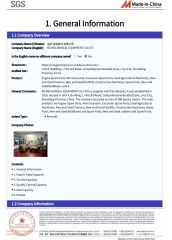Audit report certificate from RG MECHANICAL EQUIPMENT CO.LTD
