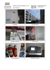 SGS certificate from Changsha Ido Leisure Industry Co., Ltd.