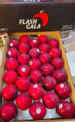 CLASS 1 Export Quality FLASH GALA Apples for sale!! NEW CROPS in South Africa! 100% Organic - Image 1