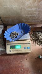 Premium Ugandan Coffee Beans – product photo 5, product detail gallery