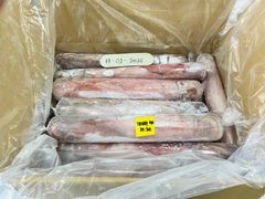 Squid Loligo IQF, IWP Type Frozen Grade Premium Shape Whole Round Processing Type IQF Content 100% Net Weight Place of Origin - Image 4