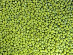 green mung - Image 1