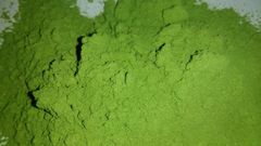 Moringa Leaves - Image 1