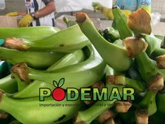 Fresh Premium Ecuadorian Bananas – Grade A, 18kg Telescopic Box - Image 2