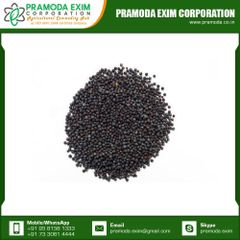 High Grade Natural Black Mustard Single Spices & Herbs From Indian Manufacturer - Image 6