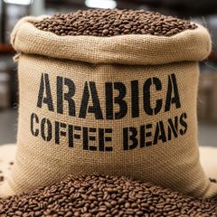 Hand Sorted Arabica Coffee Bean With Low Defect Ratio Ideal For Premium Roasting Coffee Bean Demand - Image 4