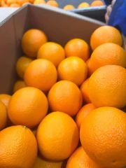 Fresh Valencia Oranges Premium Quality class 1 grade! qualuty 15kg carton packaging - Image 6