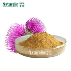 Milk Thistle Extract - Image 1