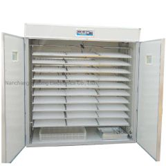 Manufacturing Automatic Poultry Quail Egg Incubator and Hatcher - Image 4