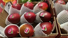Palmer Mango - Image 1