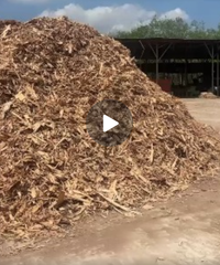 biomass rubber wood chips - Image 2