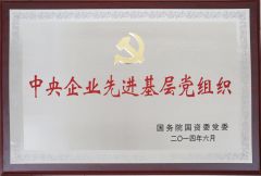 The State Council Award certificate from Shandong Huayuan Laidong Engine Co., Ltd.