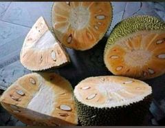 fruits and vegetables Grade FIRST GRADE Packaging BOX 10KG Product Type Dried Fruits Export Focus Exports To Other Countries - Image 2
