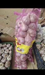 Garlic – product photo 6, product detail gallery
