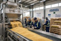1121 Golden Sella Basmati Rice Premium 8.30mm+ Extra Long Grain Pakistan – product photo 1, product detail gallery