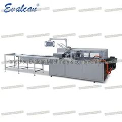 Disposal Medical Mask/Surgical Gloves and Mask Cartoning Packing Machine - Image 2