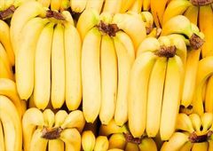 Fresh Bananas - Image 1